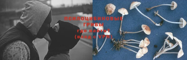 дурь Белоозёрский
