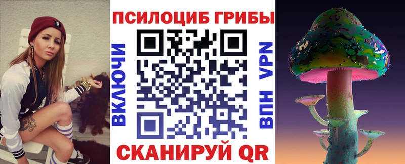 Псилоцибиновые грибы мицелий Гулькевичи