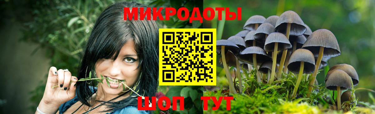 Гулькевичи  Галлюциногенные грибы Psilocybine cubensis  Вход с VPN  Псилоцибиновые грибы мухоморы 
